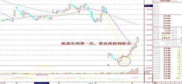 五糧液股票最新深度解析與動態(tài)更新