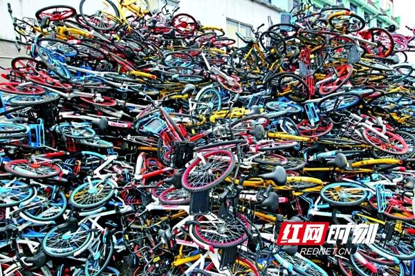 關于電動車的最新規定及其對社會與產業的影響