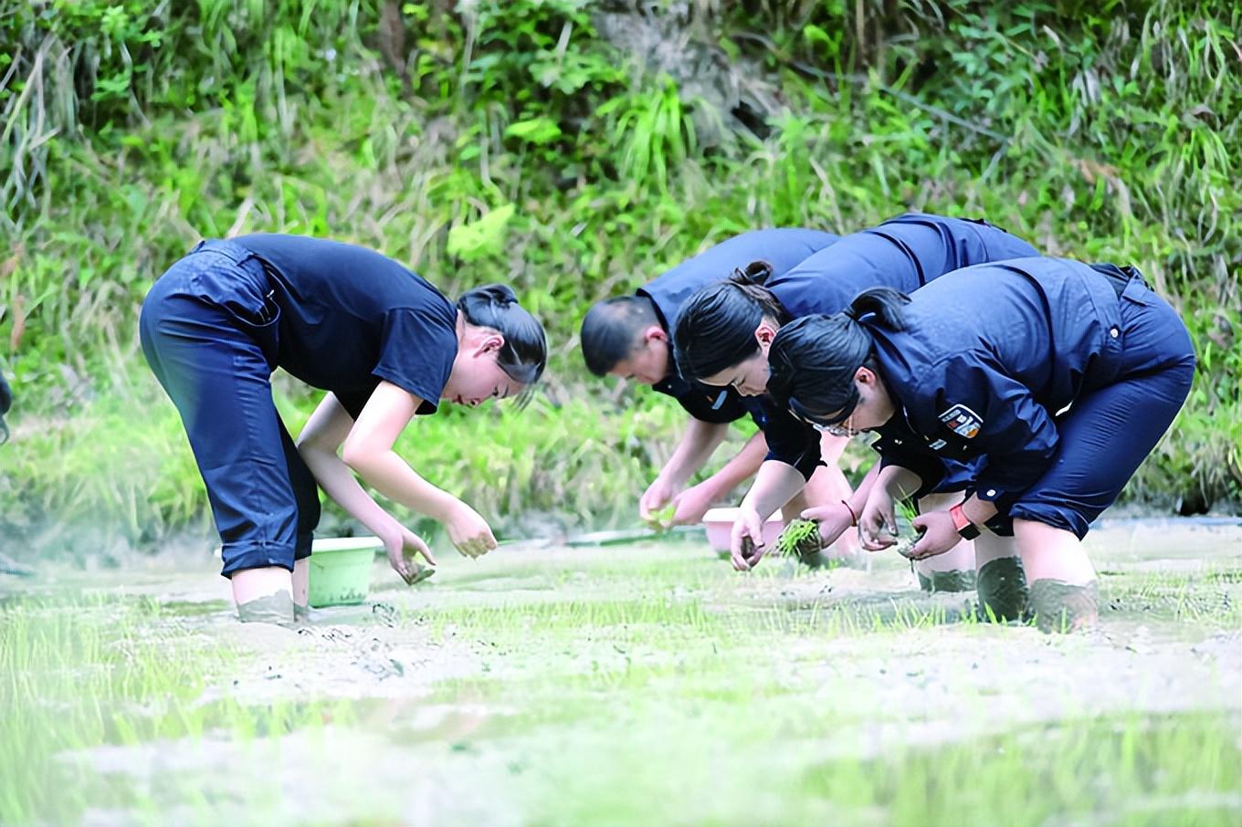 雷山縣公安局最新招聘信息,雷山縣公安局最新招聘信息詳解