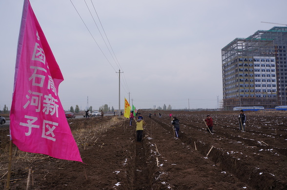 石河子市住房和城鄉(xiāng)建設局最新項目概覽及動態(tài)分析