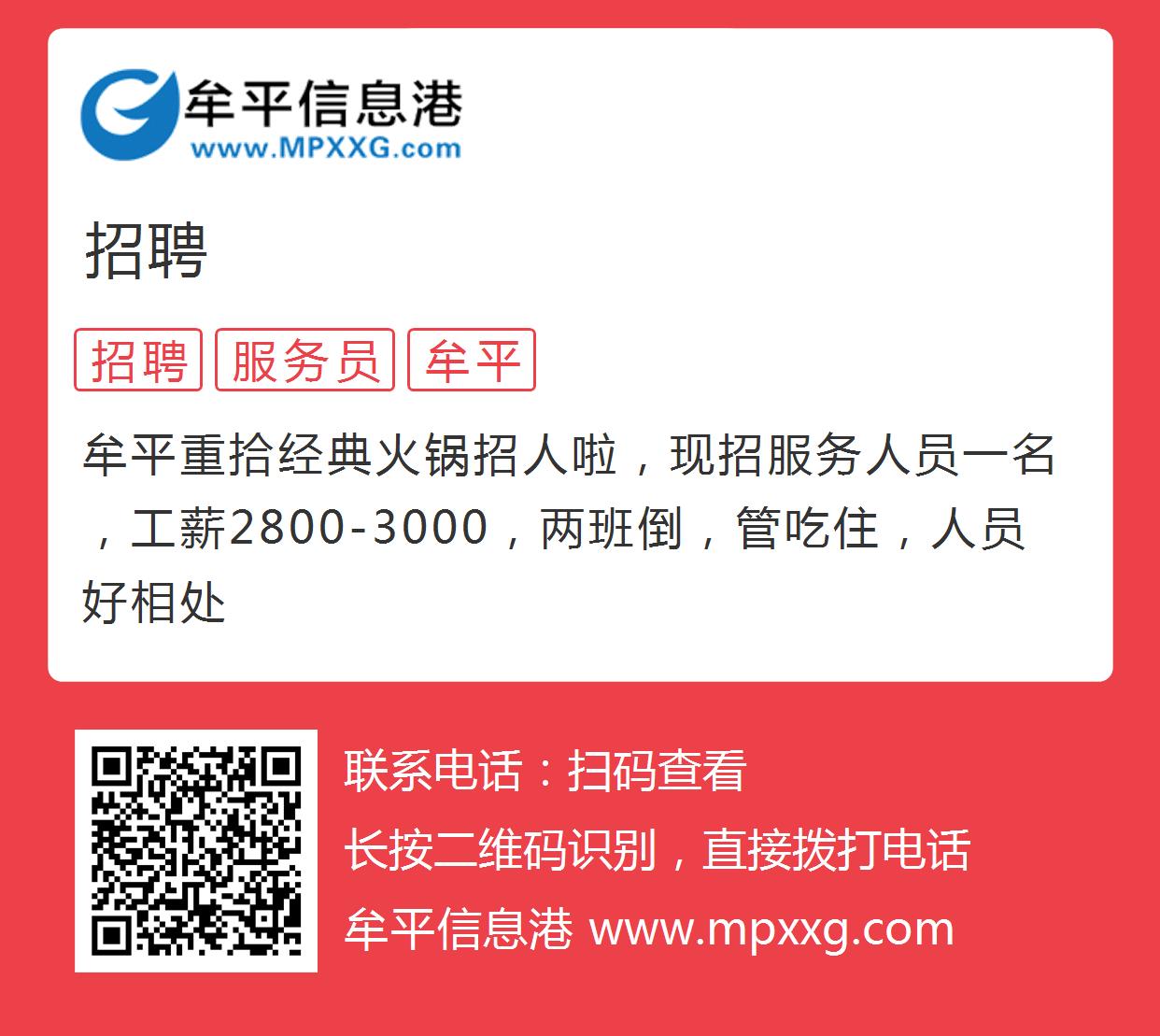 平原信息港最新招聘信息概覽，最新職位與要求全解析