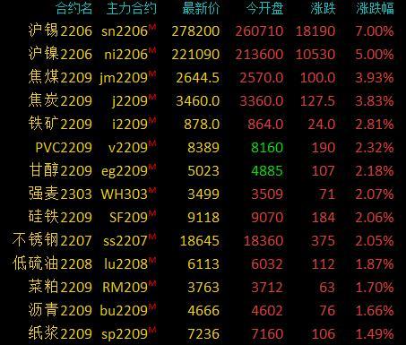 棕櫚油市場動態及全球影響最新解析