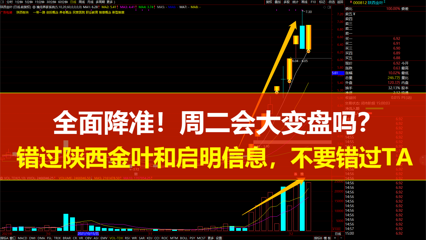 陜西金葉最新動態，揭開未來發展的新篇章