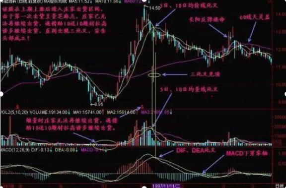 黃金走勢最新分析與預測，洞悉未來趨勢與市場動態