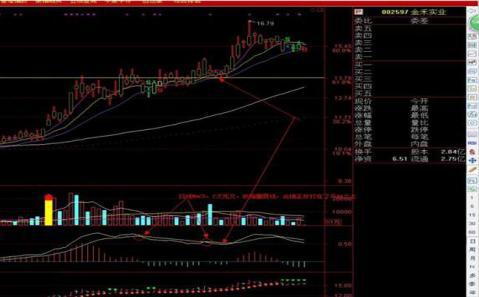 金禾實業最新動態全面解析