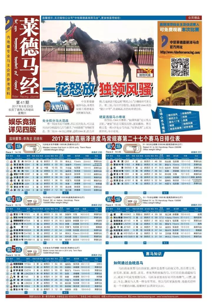 2024年正版馬會免費資料,最佳精選解釋落實_豪華版14.411