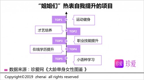 一肖一碼一中一特,詮釋分析解析_Executive85.288