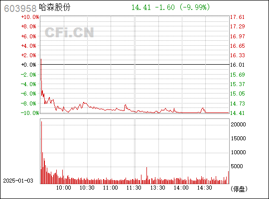 哈森股份最新消息綜述，全面解讀公司動態與行業趨勢