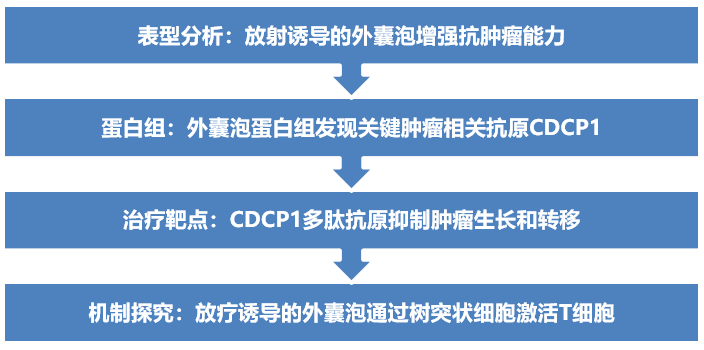 新澳最精準正最精準龍門客棧免費,高速響應方案設計_pack38.127