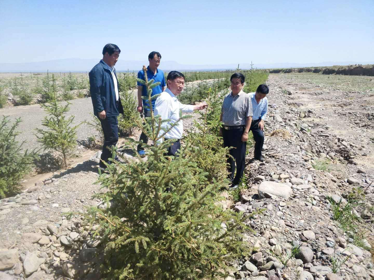 開福區級公路維護監理事業單位發展規劃概覽