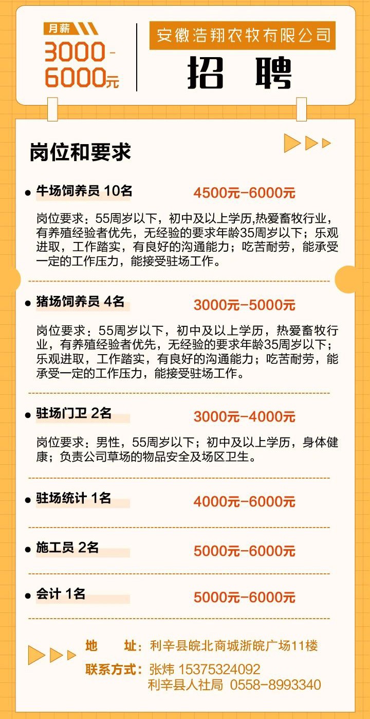 招聘網(wǎng)最新招聘動(dòng)態(tài)深度解析及招聘資訊更新速遞