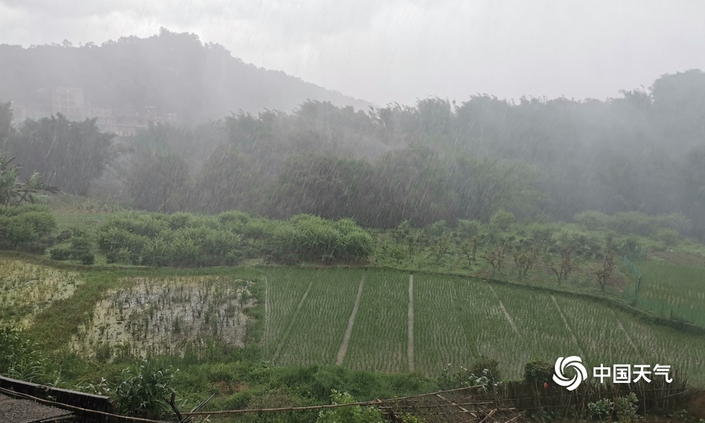 湖雷鎮(zhèn)最新天氣預(yù)報(bào)更新通知