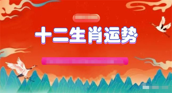 2024年一肖一碼一中一特,整體規劃執行講解_Executive31.247