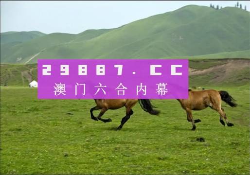 澳門跑狗,實地研究解析說明_SE版87.922