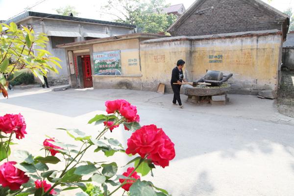 柘溝鎮未來繁榮藍圖，最新發展規劃揭秘