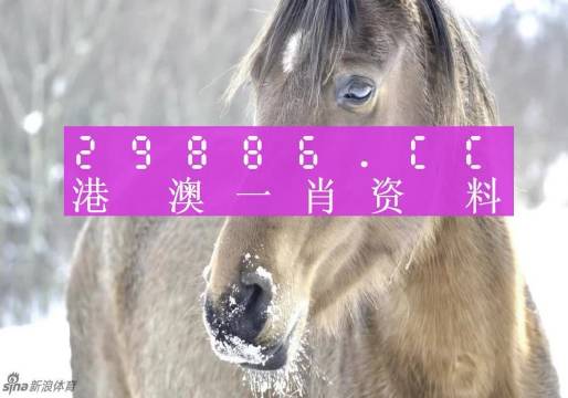 澳門平特一肖100準(zhǔn)｜構(gòu)建解答解釋落實(shí)