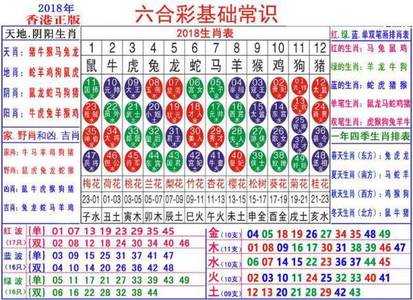 澳門正版資料大全資料生肖卡｜構建解答解釋落實