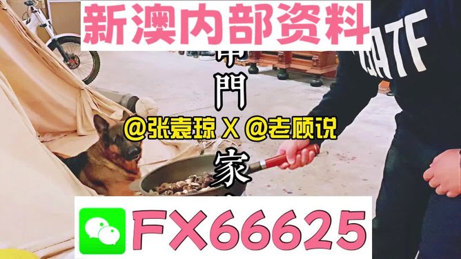 新澳門精準資料大全管家婆料｜時代資料解釋落實