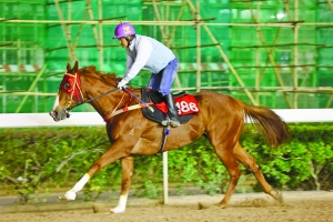 澳門今晚開特馬四不像圖｜全面貫徹解釋落實(shí)