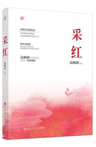 這碗粥最新小說，溫情與命運的交織之旅