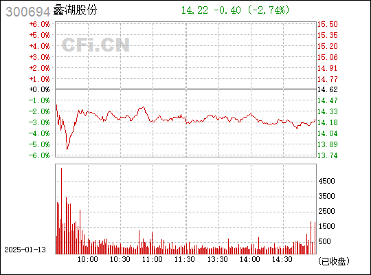 蠡湖股份最新動態全面解析