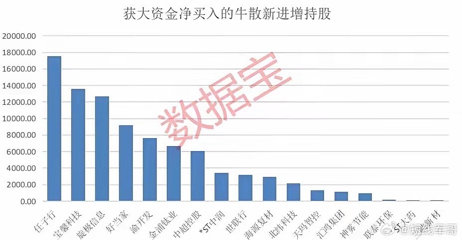 牛散最新持股動向深度解析，揭秘牛散最新持股情況