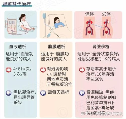 最新腎臟再生技術(shù)，替代透析的突破與生物技術(shù)在拯救生命中的應(yīng)用