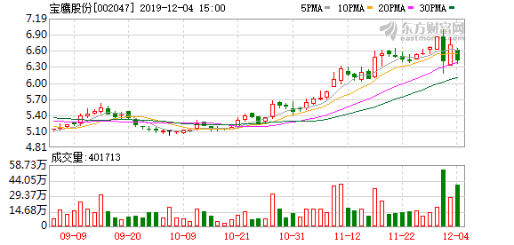 寶鷹股份最新動態全面解析