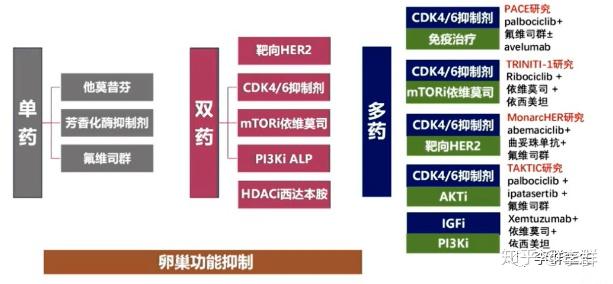 第四代靶向藥物最新進展，開啟癌癥治療新篇章