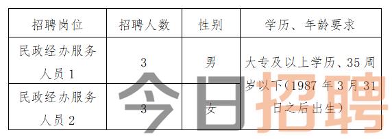 汶川縣初中最新招聘信息概覽，最新崗位與要求全解析