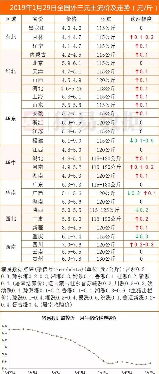 最新豬價(jià)格行情分析，今日豬價(jià)格表及趨勢(shì)解讀